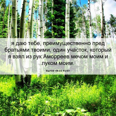 Picture 06 - Бытие 48:22 RUSV - я даю тебе, - Bible Verse Picture