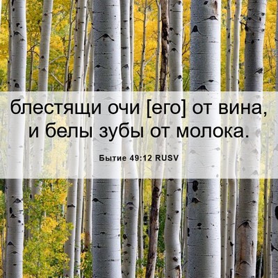 Picture 06 - Бытие 49:12 RUSV - блестящи очи [его] от вина, - Bible Verse Picture
