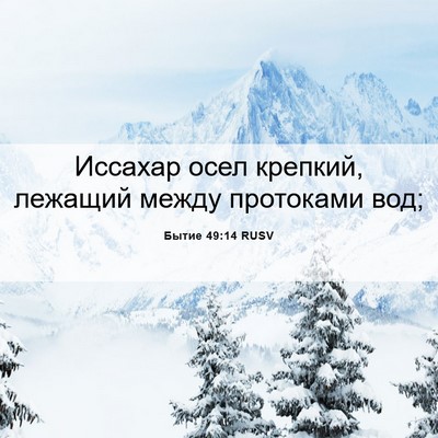 Picture 06 - Бытие 49:14 RUSV - Иссахар осел крепкий, - Bible Verse Picture