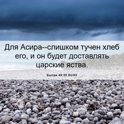 Picture 06 - Бытие 49:20 RUSV - Для Асира--слишком тучен - Bible Verse Picture