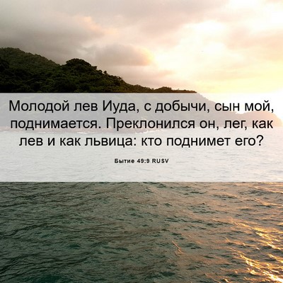 Picture 06 - Бытие 49:9 RUSV - Молодой лев Иуда, с добычи, - Bible Verse Picture