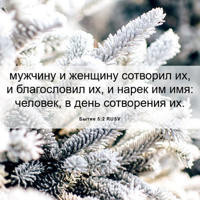 Picture 06 - Бытие 5:2 RUSV - мужчину и женщину сотворил - Bible Verse Picture