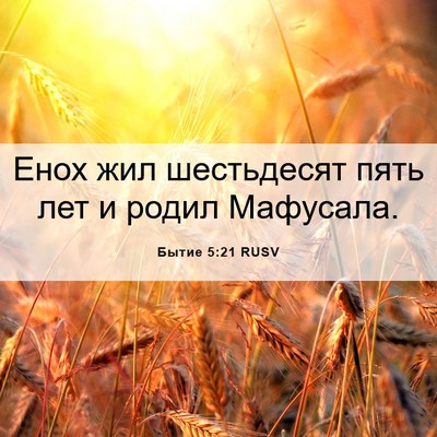 Picture 06 - Бытие 5:21 RUSV - Енох жил шестьдесят пять - Bible Verse Picture