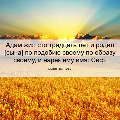 Picture 06 - Бытие 5:3 RUSV - Адам жил сто тридцать лет и - Bible Verse Picture
