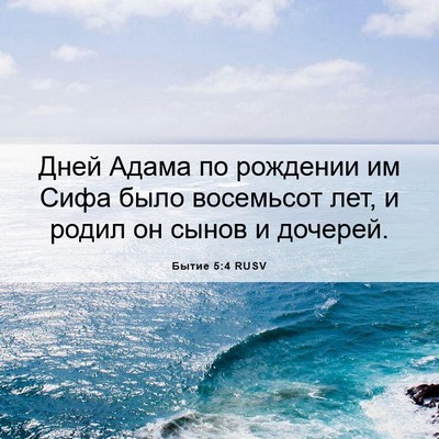 Picture 06 - Бытие 5:4 RUSV - Дней Адама по рождении им - Bible Verse Picture