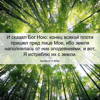Picture 06 - Бытие 6:13 RUSV - И сказал Бог Ною: конец - Bible Verse Picture
