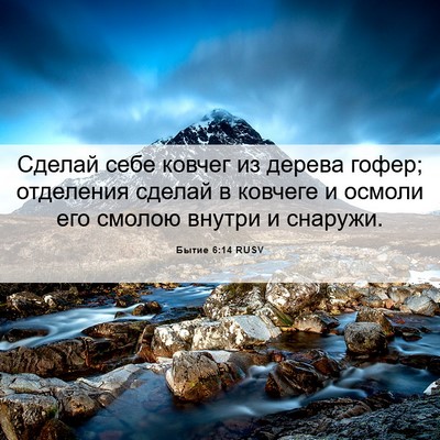 Picture 06 - Бытие 6:14 RUSV - Сделай себе ковчег из - Bible Verse Picture