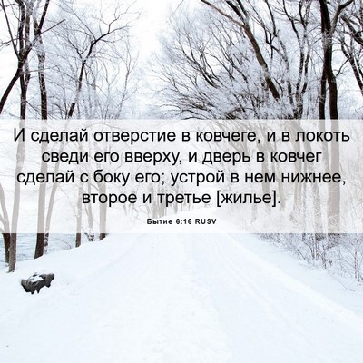 Picture 06 - Бытие 6:16 RUSV - И сделай отверстие в - Bible Verse Picture