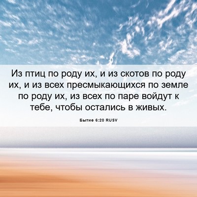 Picture 06 - Бытие 6:20 RUSV - Из птиц по роду их, и из - Bible Verse Picture