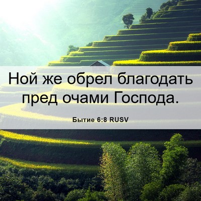 Picture 06 - Бытие 6:8 RUSV - Ной же обрел благодать - Bible Verse Picture