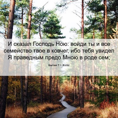 Picture 06 - Бытие 7:1 RUSV - И сказал Господь Ною: войди - Bible Verse Picture