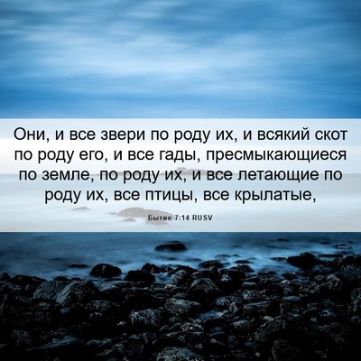 Picture 06 - Бытие 7:14 RUSV - Они, и все звери по роду их, - Bible Verse Picture
