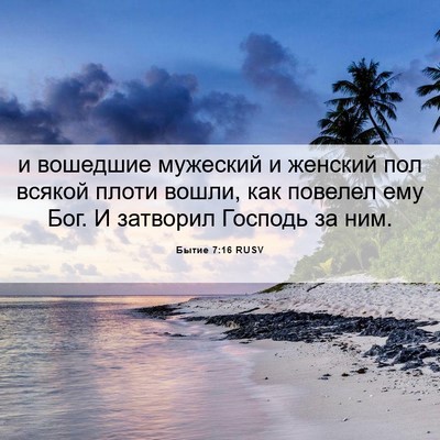Picture 06 - Бытие 7:16 RUSV - и вошедшие мужеский и - Bible Verse Picture