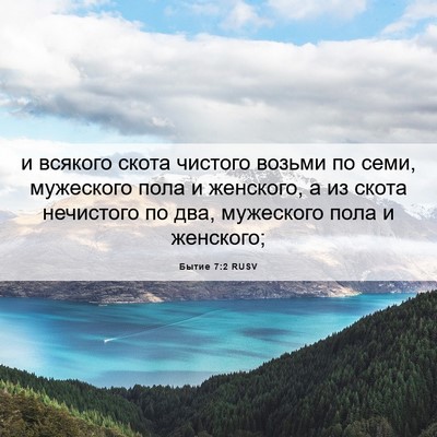 Picture 06 - Бытие 7:2 RUSV - и всякого скота чистого - Bible Verse Picture