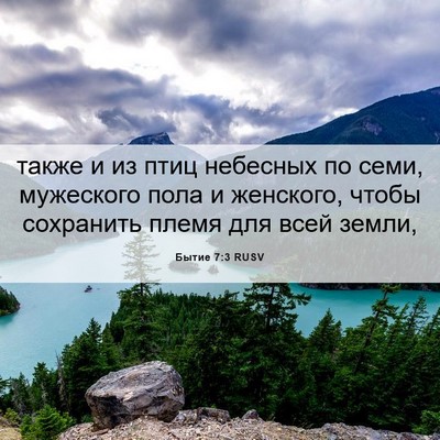 Picture 06 - Бытие 7:3 RUSV - также и из птиц небесных по - Bible Verse Picture