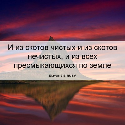Picture 06 - Бытие 7:8 RUSV - И из скотов чистых и из - Bible Verse Picture