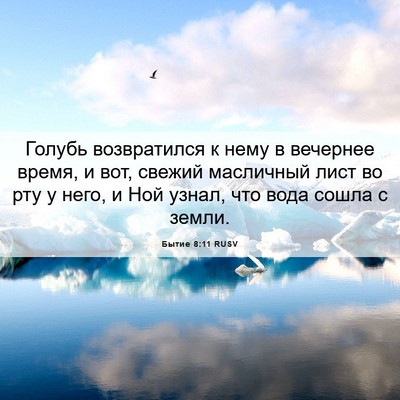 Picture 06 - Бытие 8:11 RUSV - Голубь возвратился к нему - Bible Verse Picture