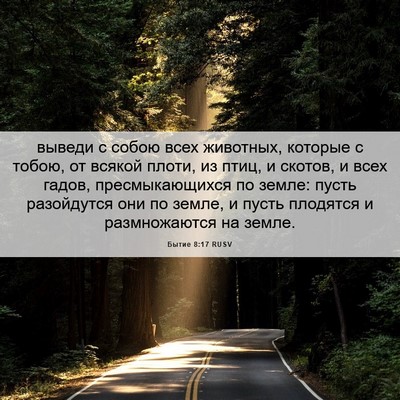 Picture 06 - Бытие 8:17 RUSV - выведи с собою всех - Bible Verse Picture