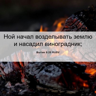Picture 06 - Бытие 9:20 RUSV - Ной начал возделывать - Bible Verse Picture