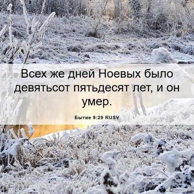 Picture 06 - Бытие 9:29 RUSV - Всех же дней Ноевых было - Bible Verse Picture