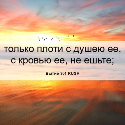 Picture 06 - Бытие 9:4 RUSV - только плоти с душею ее, с - Bible Verse Picture