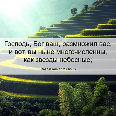 Picture 06 - Второзаконие 1:10 RUSV - Господь, Бог ваш, размножил - Bible Verse Picture