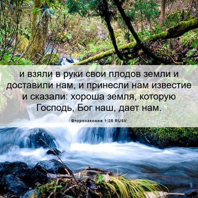 Picture 06 - Второзаконие 1:25 RUSV - и взяли в руки свои плодов - Bible Verse Picture