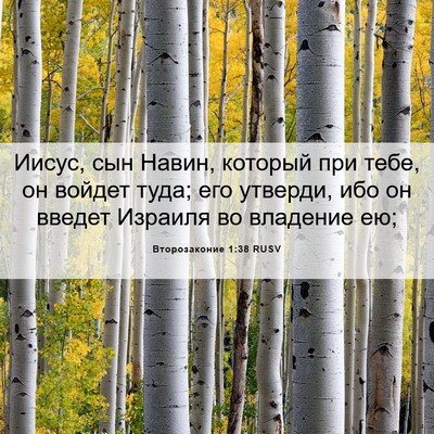 Picture 06 - Второзаконие 1:38 RUSV - Иисус, сын Навин, который - Bible Verse Picture