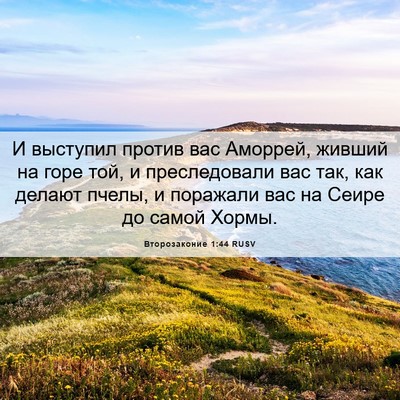 Picture 06 - Второзаконие 1:44 RUSV - И выступил против вас - Bible Verse Picture