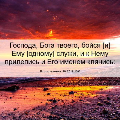 Picture 06 - Второзаконие 10:20 RUSV - Господа, Бога твоего, бойся - Bible Verse Picture