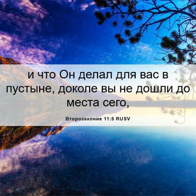 Picture 06 - Второзаконие 11:5 RUSV - и что Он делал для вас в - Bible Verse Picture