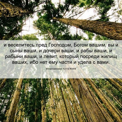 Picture 06 - Второзаконие 12:12 RUSV - и веселитесь пред - Bible Verse Picture