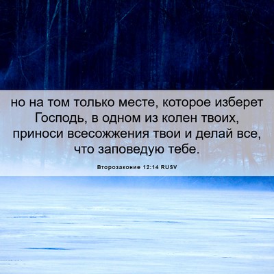 Picture 06 - Второзаконие 12:14 RUSV - но на том только месте, - Bible Verse Picture