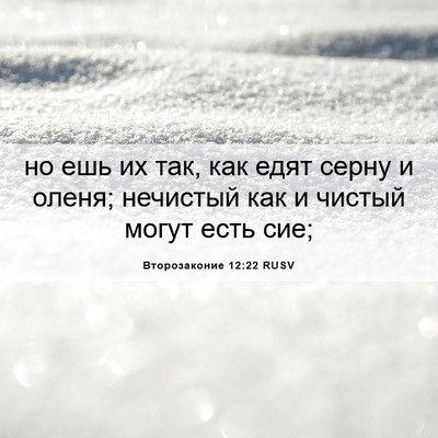 Picture 06 - Второзаконие 12:22 RUSV - но ешь их так, как едят - Bible Verse Picture