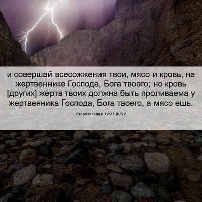 Picture 06 - Второзаконие 12:27 RUSV - и совершай всесожжения - Bible Verse Picture