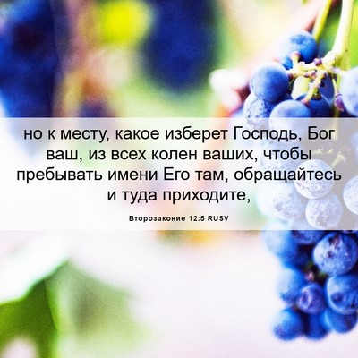Picture 06 - Второзаконие 12:5 RUSV - но к месту, какое изберет - Bible Verse Picture