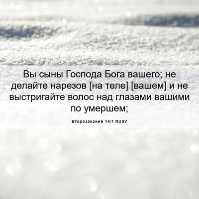 Picture 06 - Второзаконие 14:1 RUSV - Вы сыны Господа Бога - Bible Verse Picture
