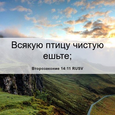 Picture 06 - Второзаконие 14:11 RUSV - Всякую птицу чистую - Bible Verse Picture