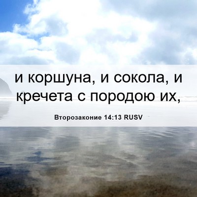 Picture 06 - Второзаконие 14:13 RUSV - и коршуна, и сокола, и - Bible Verse Picture