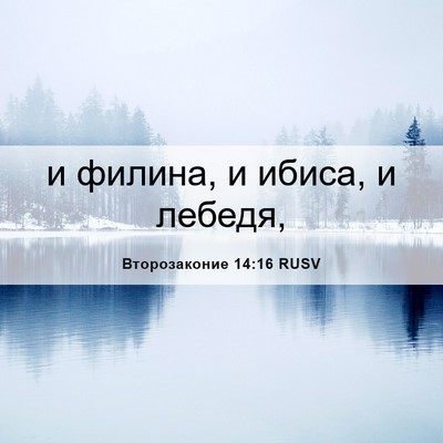 Picture 06 - Второзаконие 14:16 RUSV - и филина, и ибиса, и - Bible Verse Picture