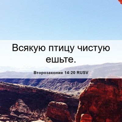 Picture 06 - Второзаконие 14:20 RUSV - Всякую птицу чистую - Bible Verse Picture