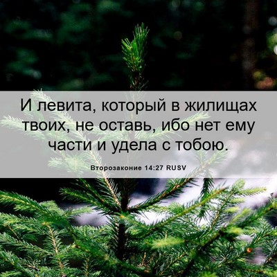 Picture 06 - Второзаконие 14:27 RUSV - И левита, который в жилищах - Bible Verse Picture