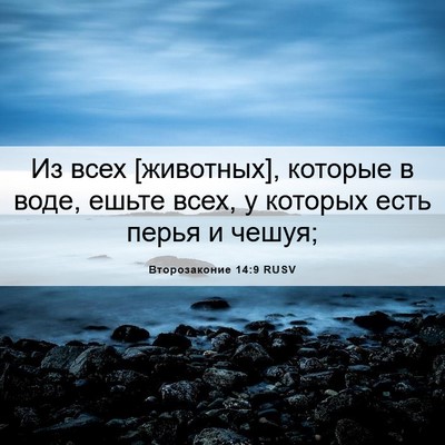 Picture 06 - Второзаконие 14:9 RUSV - Из всех [животных], которые - Bible Verse Picture