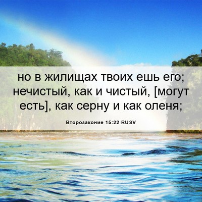 Picture 06 - Второзаконие 15:22 RUSV - но в жилищах твоих ешь его; - Bible Verse Picture