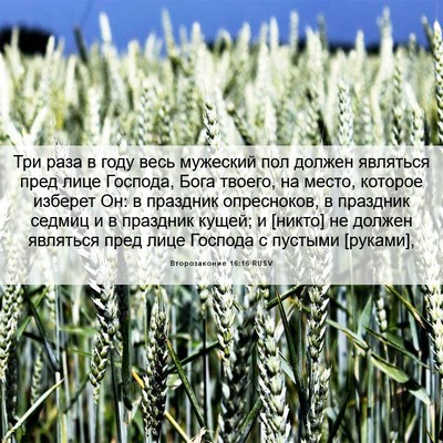 Picture 06 - Второзаконие 16:16 RUSV - Три раза в году весь - Bible Verse Picture