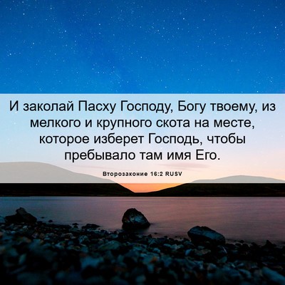 Picture 06 - Второзаконие 16:2 RUSV - И заколай Пасху Господу, - Bible Verse Picture
