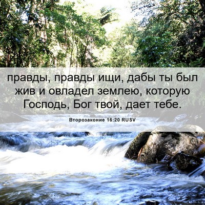 Picture 06 - Второзаконие 16:20 RUSV - правды, правды ищи, дабы ты - Bible Verse Picture