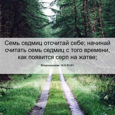 Picture 06 - Второзаконие 16:9 RUSV - Семь седмиц отсчитай себе; - Bible Verse Picture