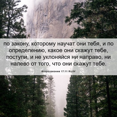 Picture 06 - Второзаконие 17:11 RUSV - по закону, которому научат - Bible Verse Picture