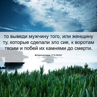 Picture 06 - Второзаконие 17:5 RUSV - то выведи мужчину того, или - Bible Verse Picture